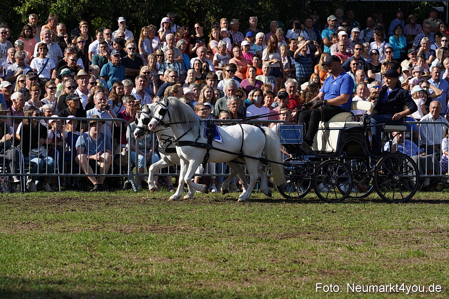 Pferde und Fohlenschau 2022 0086 
